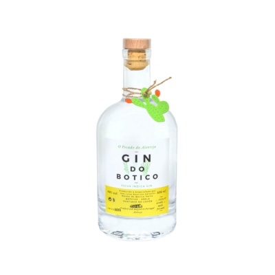 Garrafa de gin com rolha, etiquetas e cacto decorativo
