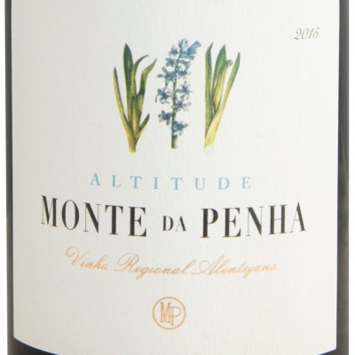 Rótulo de vinho com texto e ilustrações de plantas