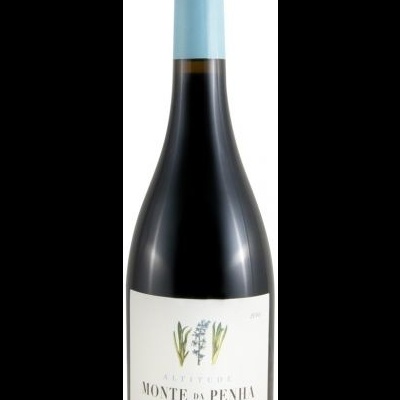 Garrafa de vinho tinto Monte da Penha com rótulo branco e cápsula azul clara