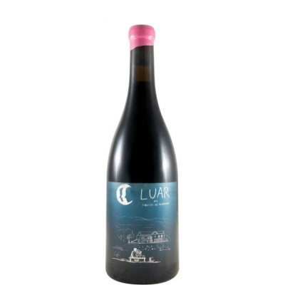 Garrafa de vinho com rótulo azul e selo rosa no gargalo