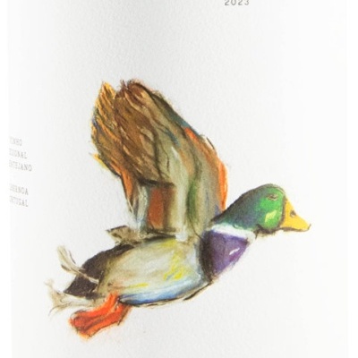 Rótulo de vinho com pato colorido a voar e texto Monte da Peceguina 2023