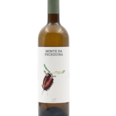 Garrafas de vinho branco Monte da Peceguina com rótulo branco