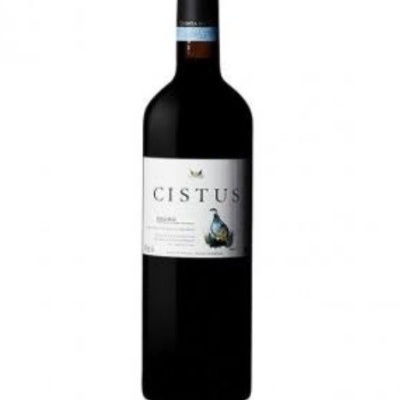 Garrafa de vinho tinto CISTUS com rótulo branco e imagem de pássaro