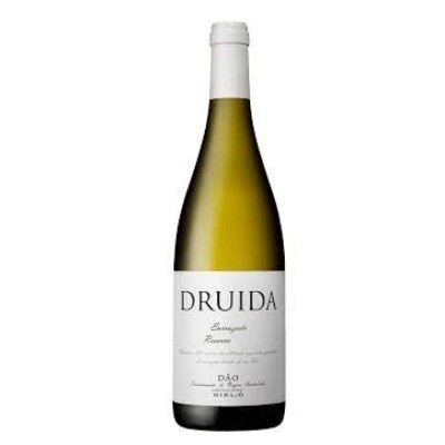 https://www.garrafeiradalvalade.com/product/druida-encruzado-reserva-branco-2019