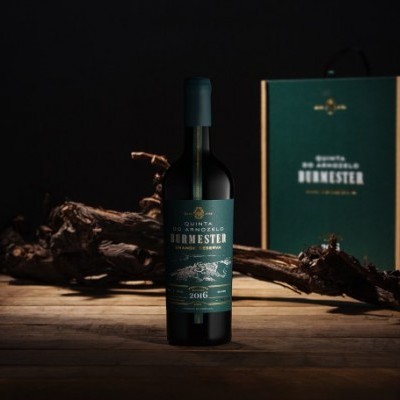 Garrafa de vinho Burnester 2016 com caixa de presente verde e ramos secos sobre madeira escura