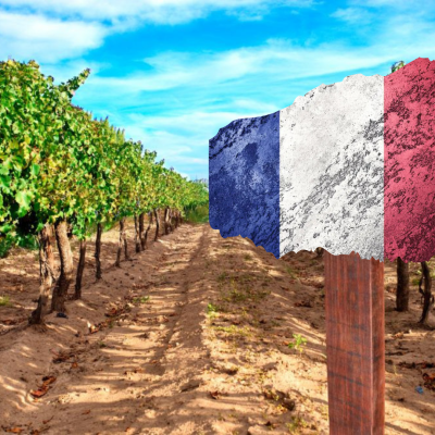 Vinhos Franceses
