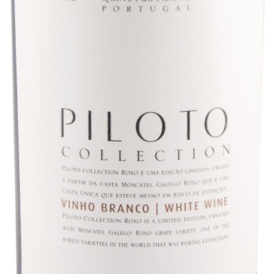 Rótulo de garrafa de vinho branco Pilot Collection Roxo 2022