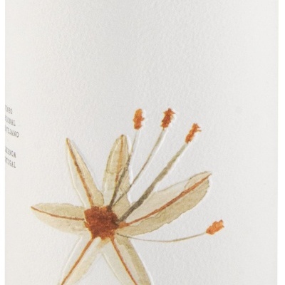 Rótulo branco de vinho MONTE DA PECEGUINA 2024 com flor ilustrada e texto AUTOR Matilde