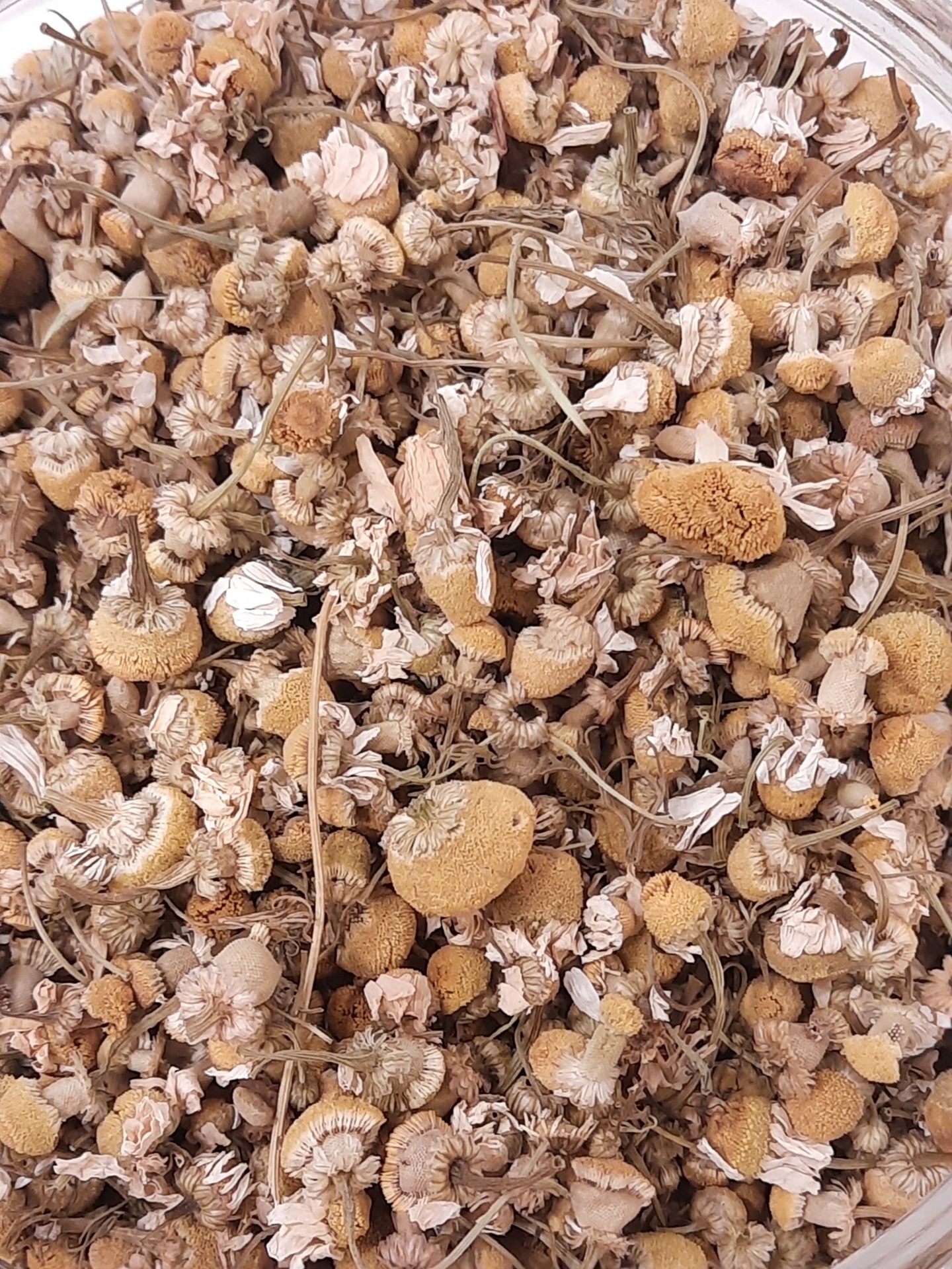 Flores secas castanho claro com caules finos numa superfície clara