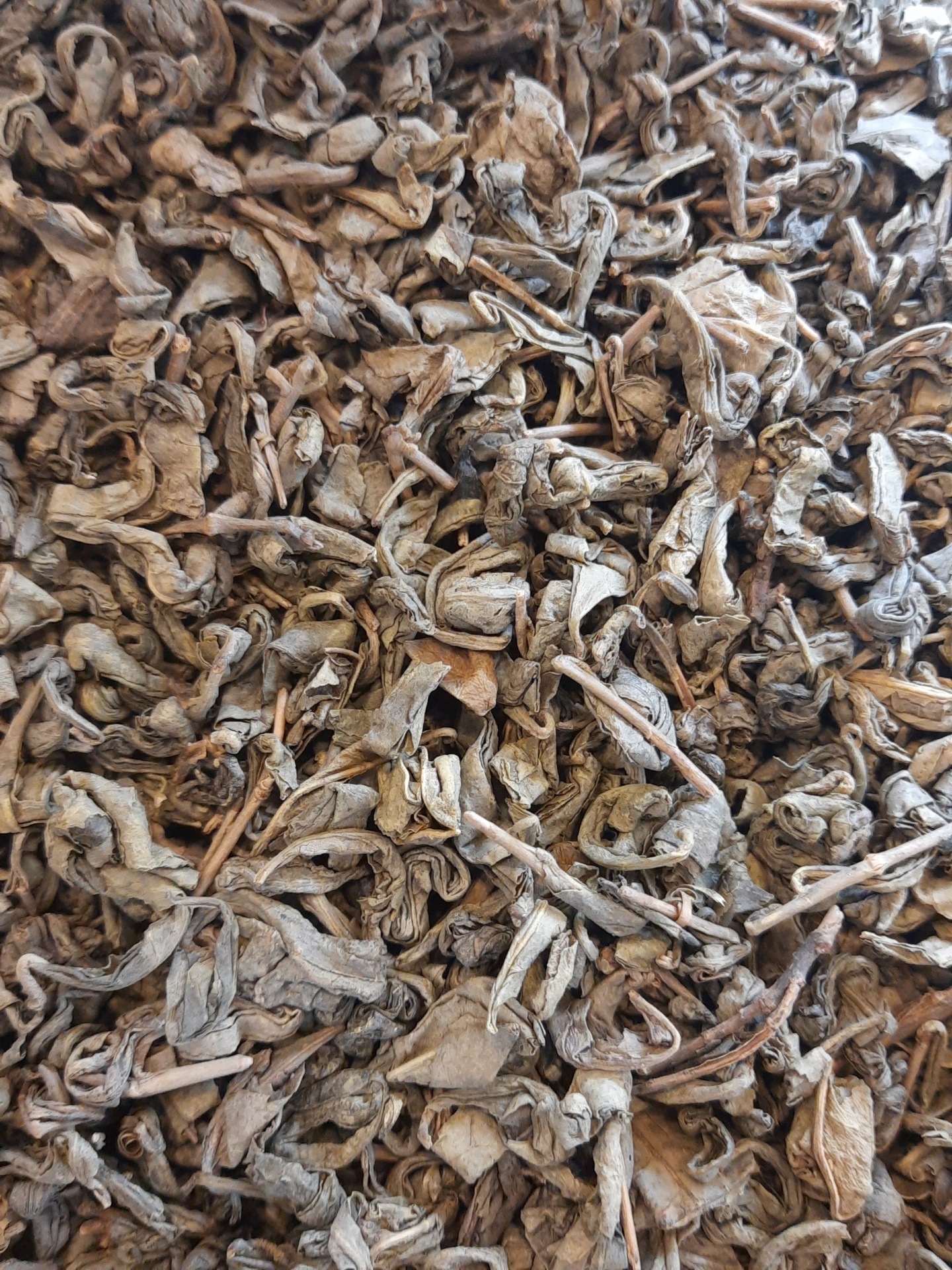 folhas secas de cor castanha e cinza juntas