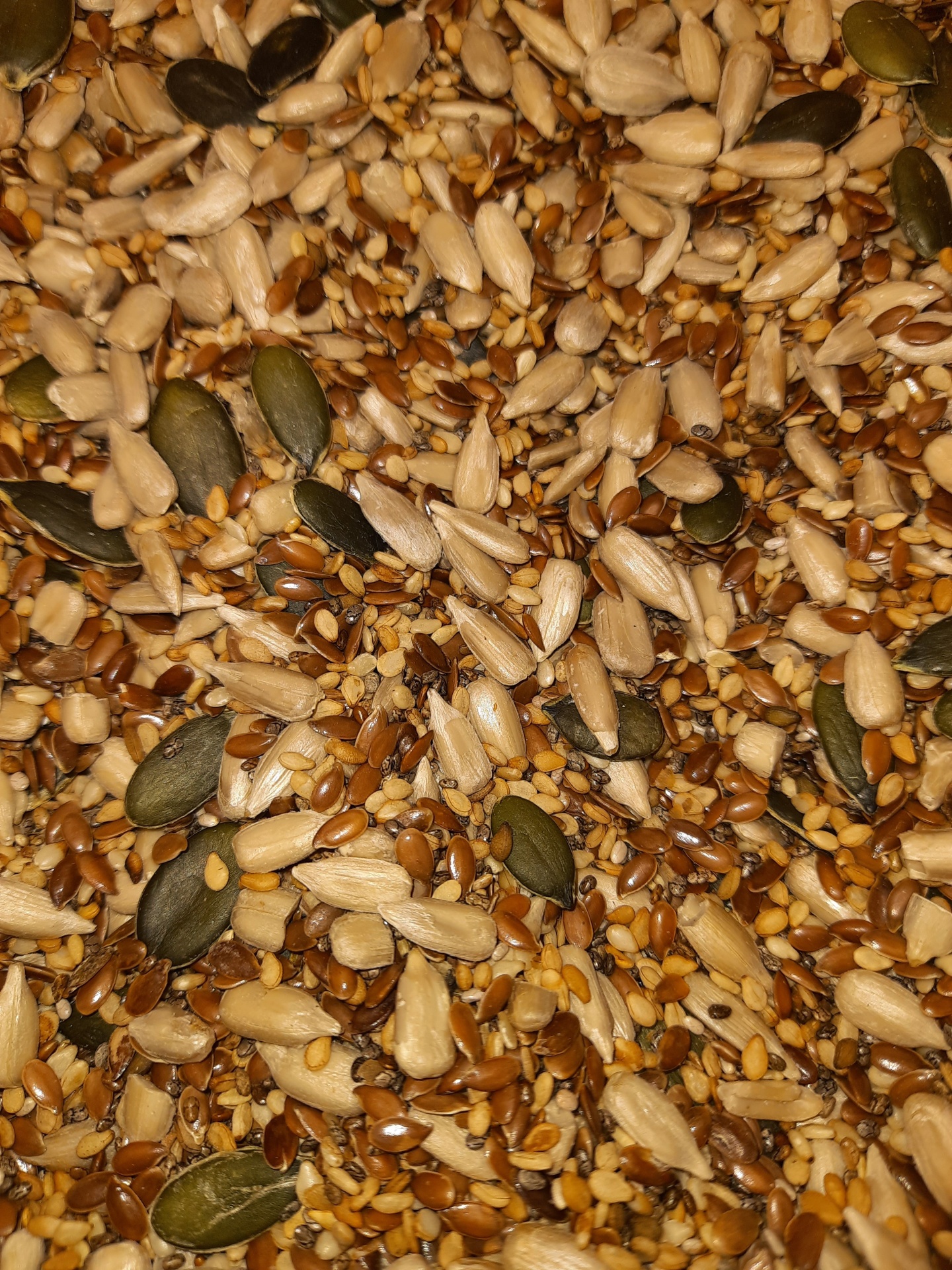 Mistura de sementes variadas coloridas