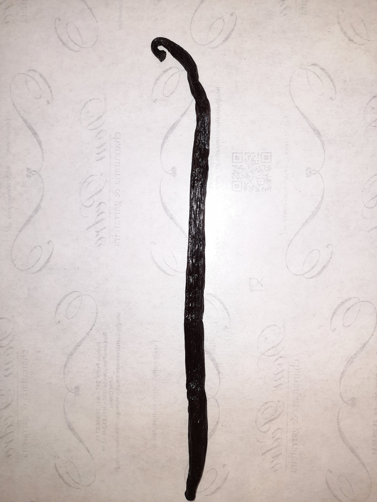 Vagem longa de baunilha preta sobre fundo branco com padrões cinzentos