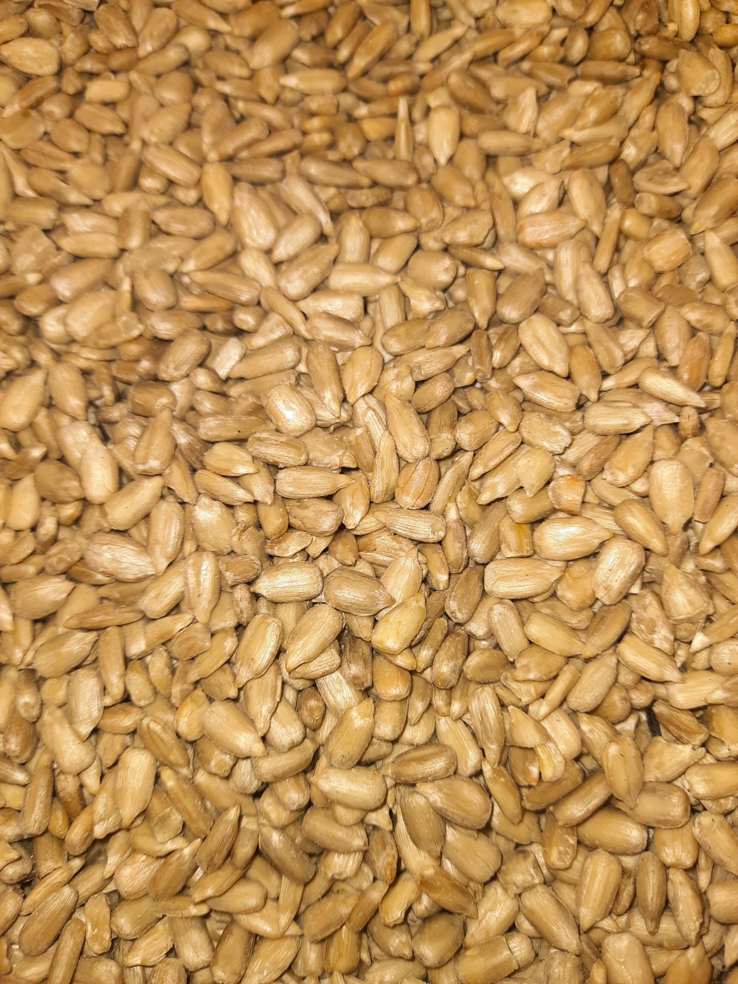 Sementes de girassol descascadas castanho-douradas