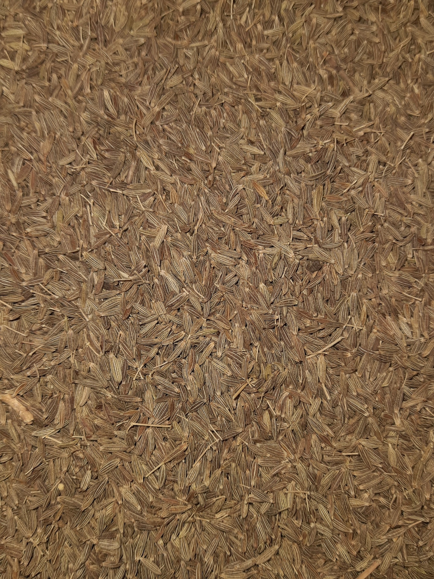 Sementes castanhas de alcaravia sobre uma superfície