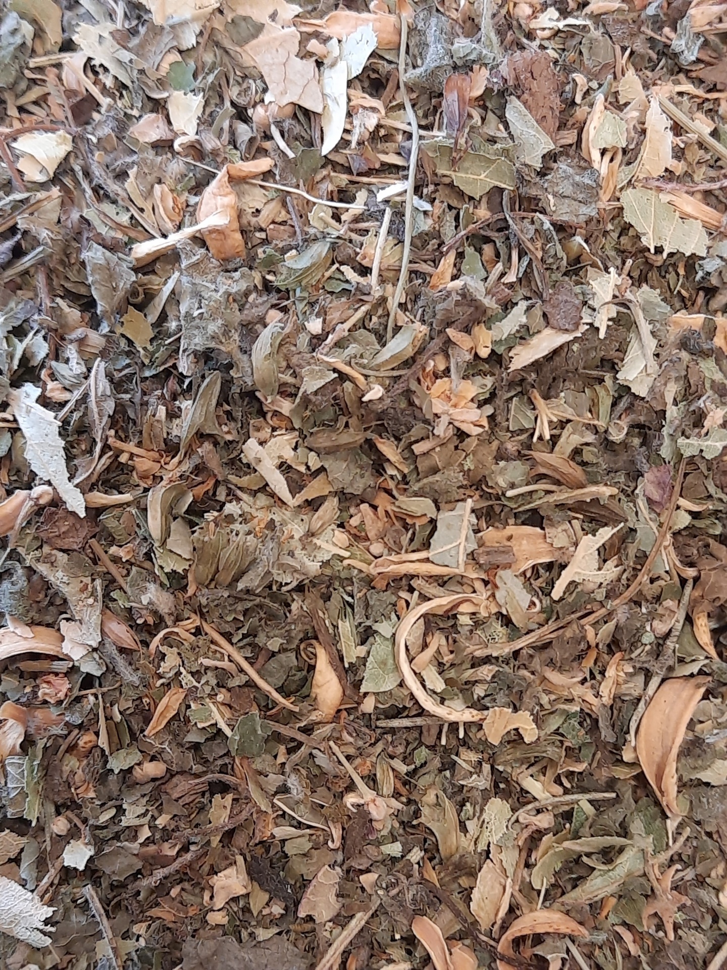 Ervas secas e folhas desidratadas variadas