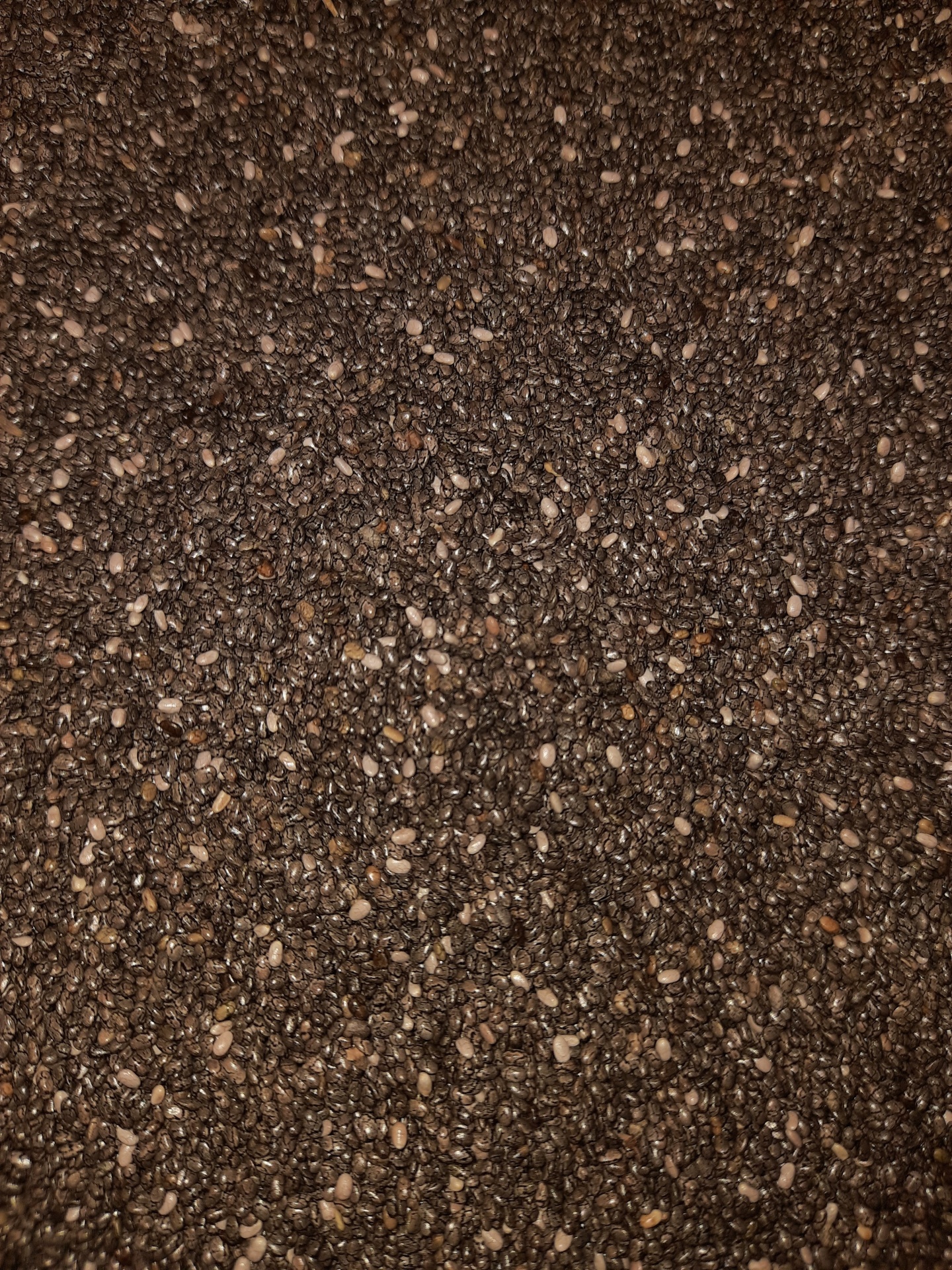 Sementes escuras pequenas com algumas claras, textura rugosa e irregular