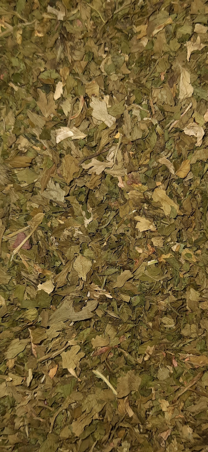 Folhas secas picadas de ervas em várias tonalidades de verde e castanho