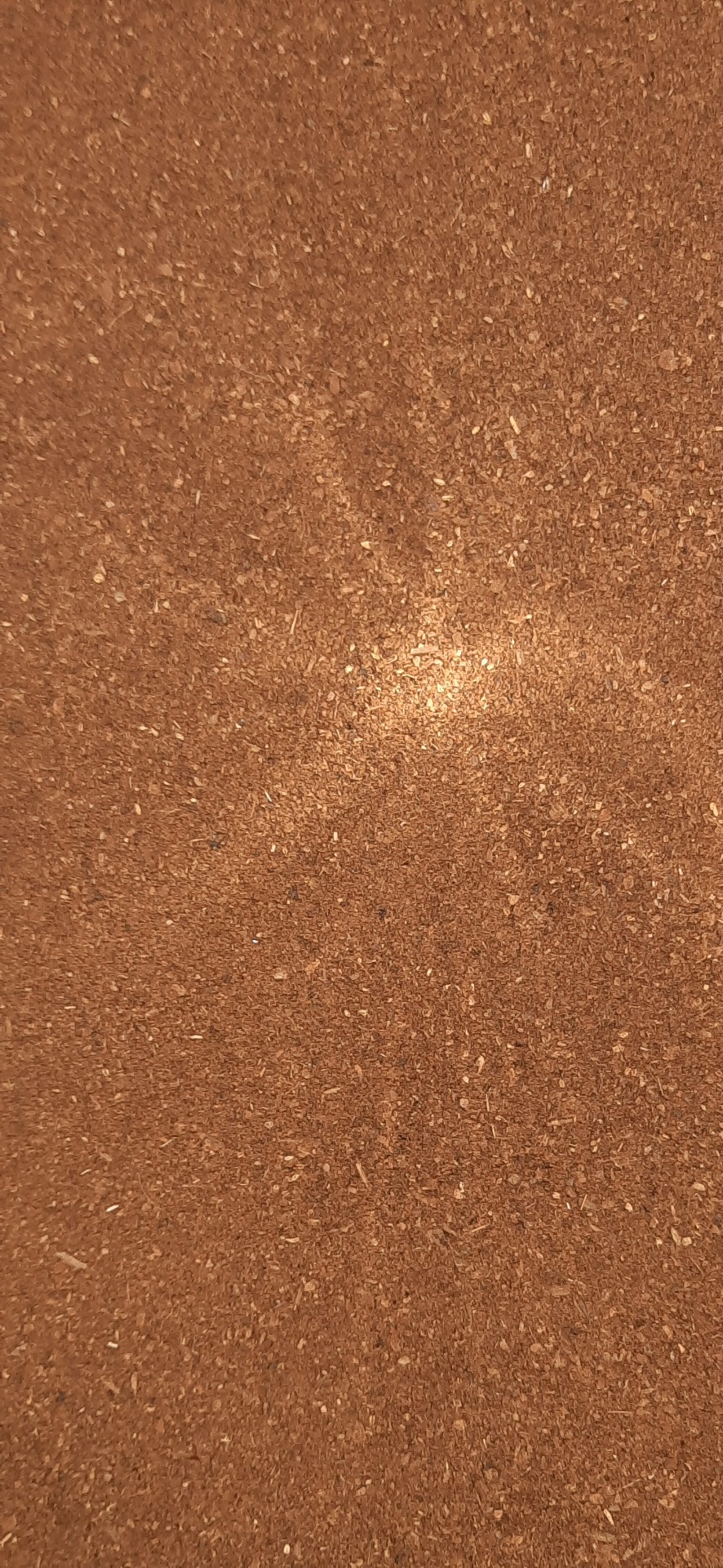 Textura de cortiça castanho claro