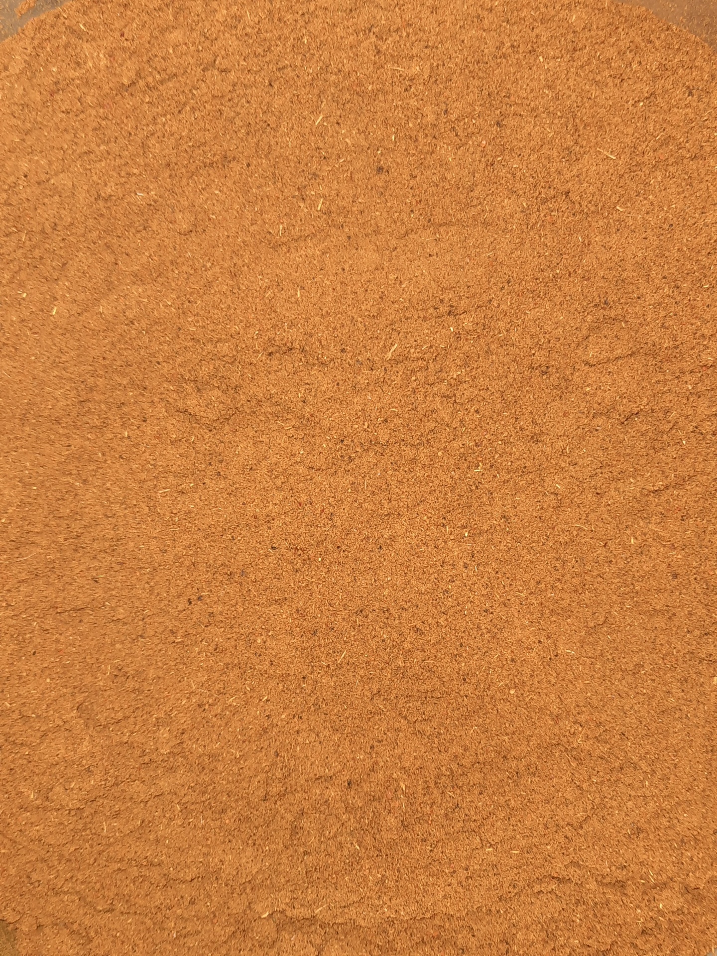 Pó castanho claro homogéneo, possivelmente especiaria em pó