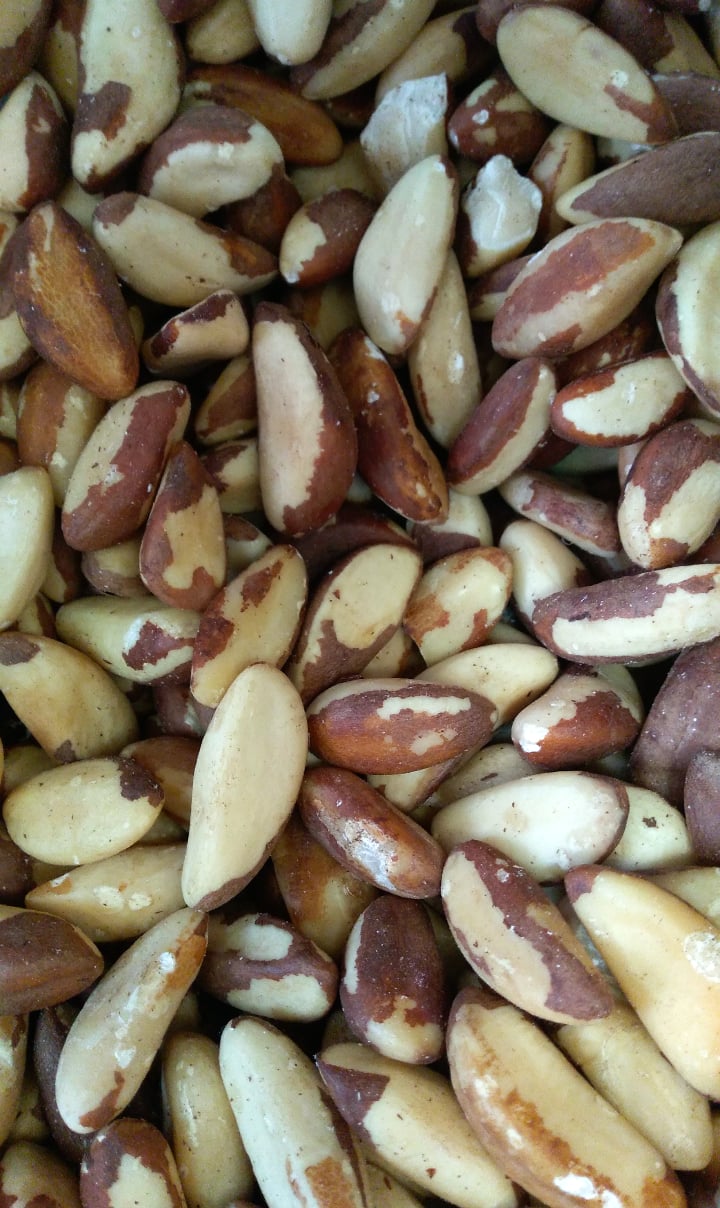 Nozes do Brasil com casca parcial marrom e branca