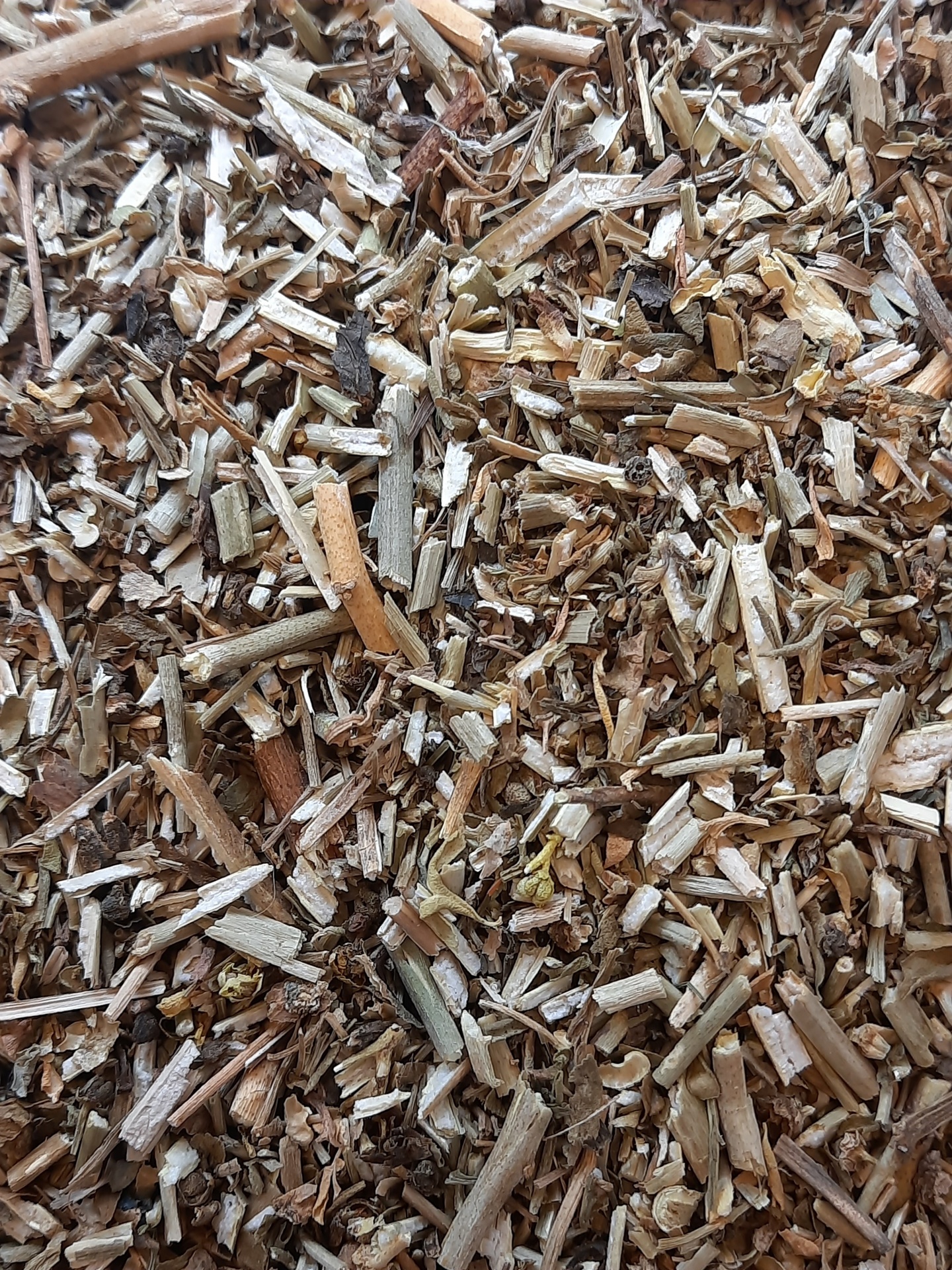 Mistura de ervas secas em tons castanhos e verdes