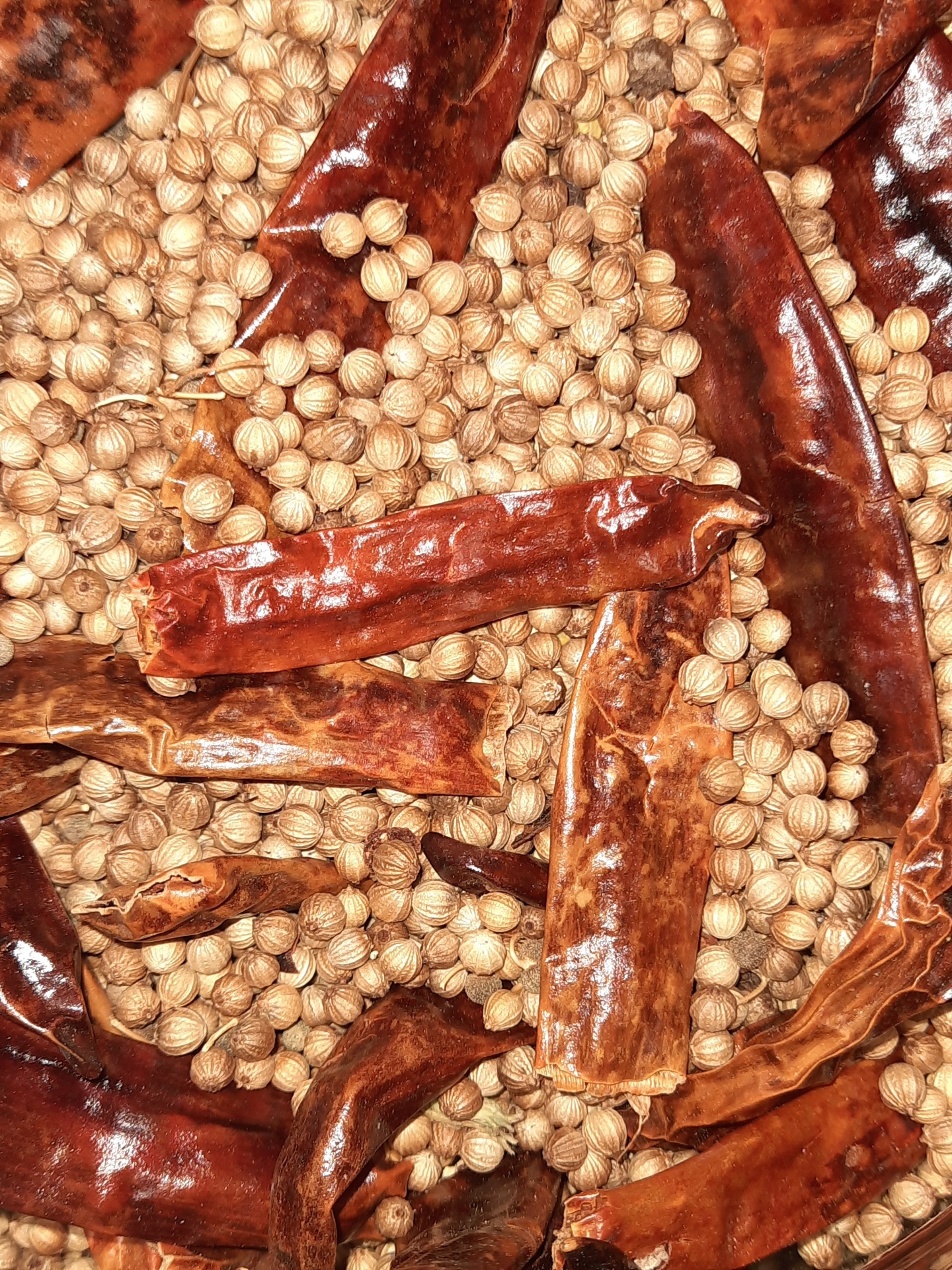 Bagas de coentro secas e pimentos vermelhos secos misturados