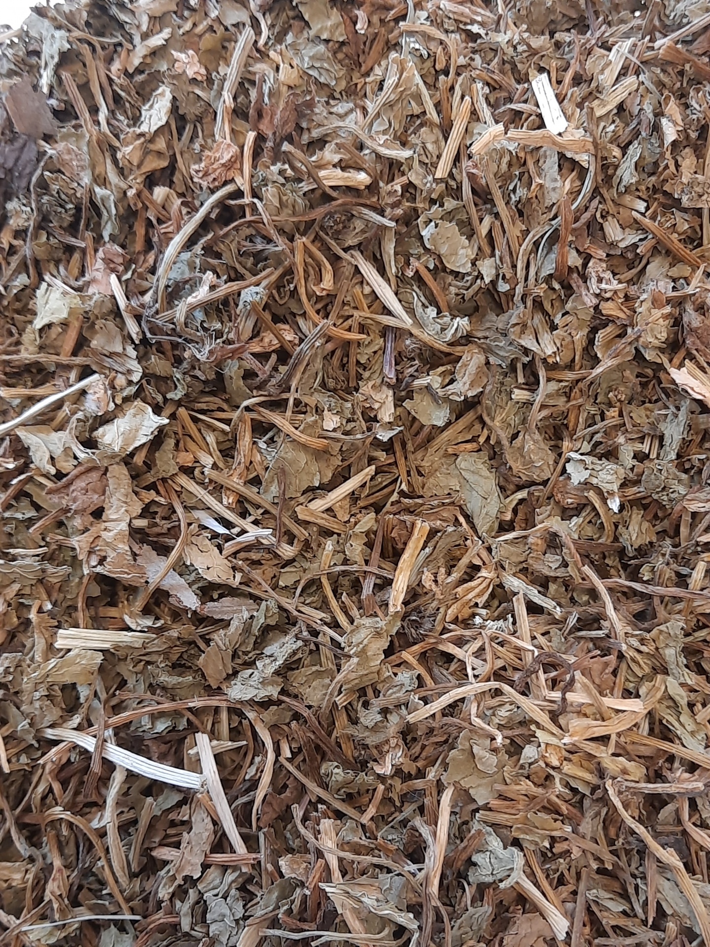 Ervas e galhos secos castanhos e verdes misturados