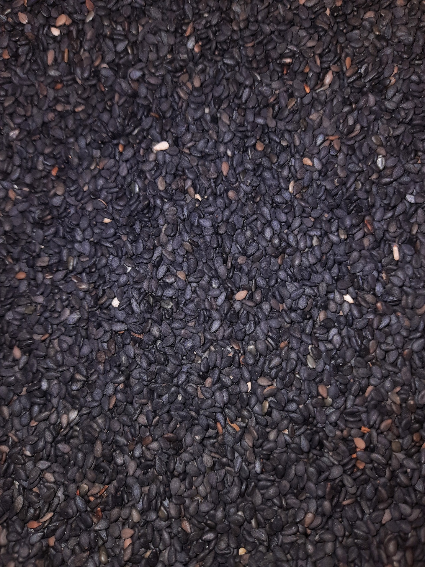 Sementes pretas pequenas com textura rugosa e algumas sementes castanhas e brancas