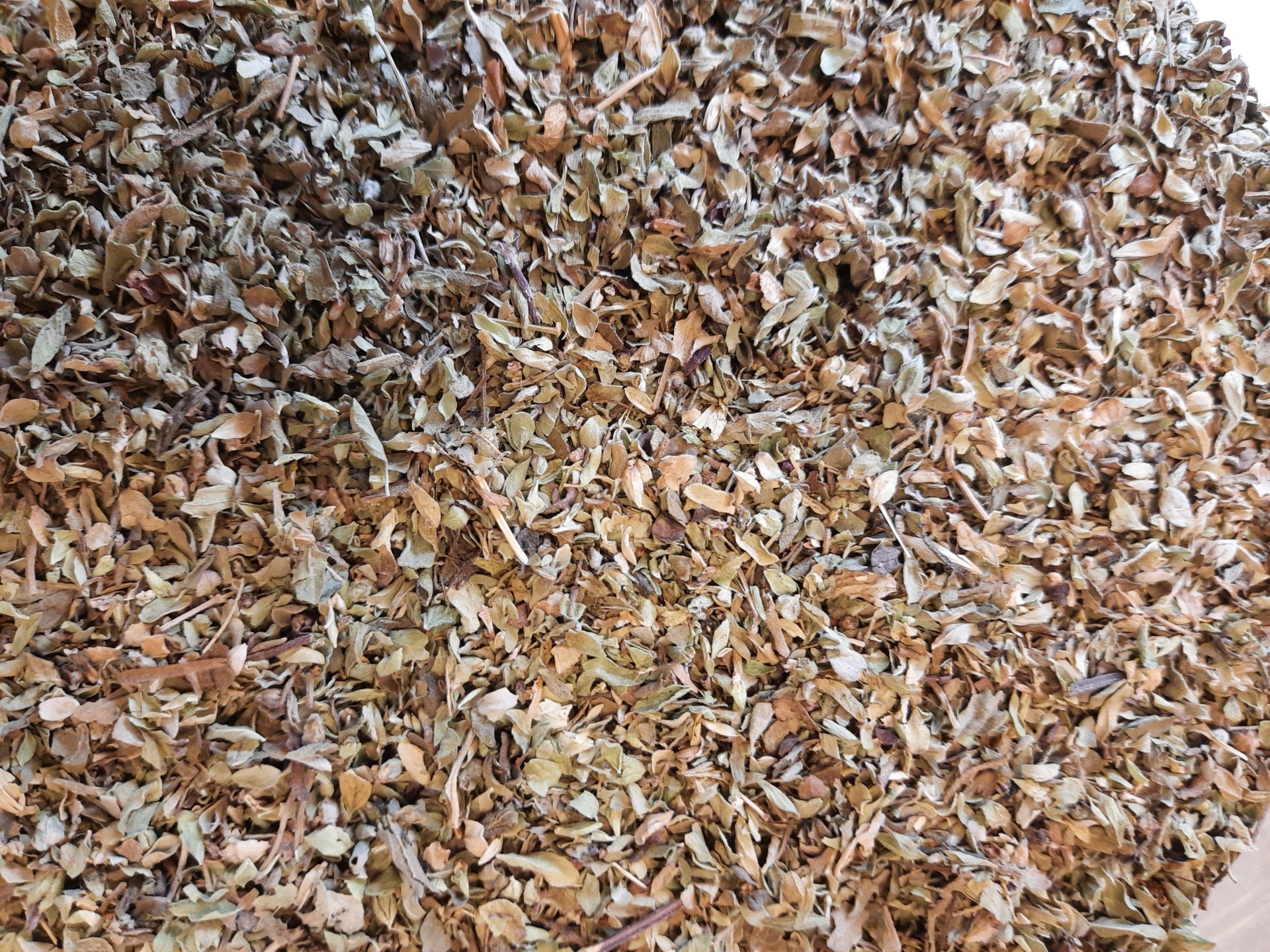 Cascas de pinhão secas castanhas num grande volume