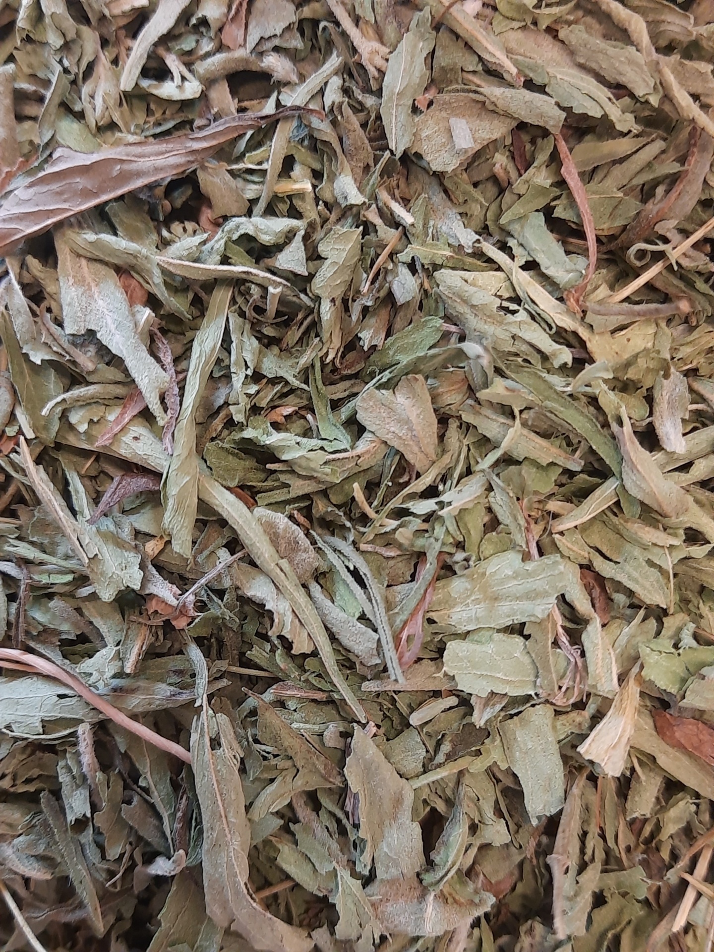 Folhas secas verdes e castanhas, textura de ervas secas