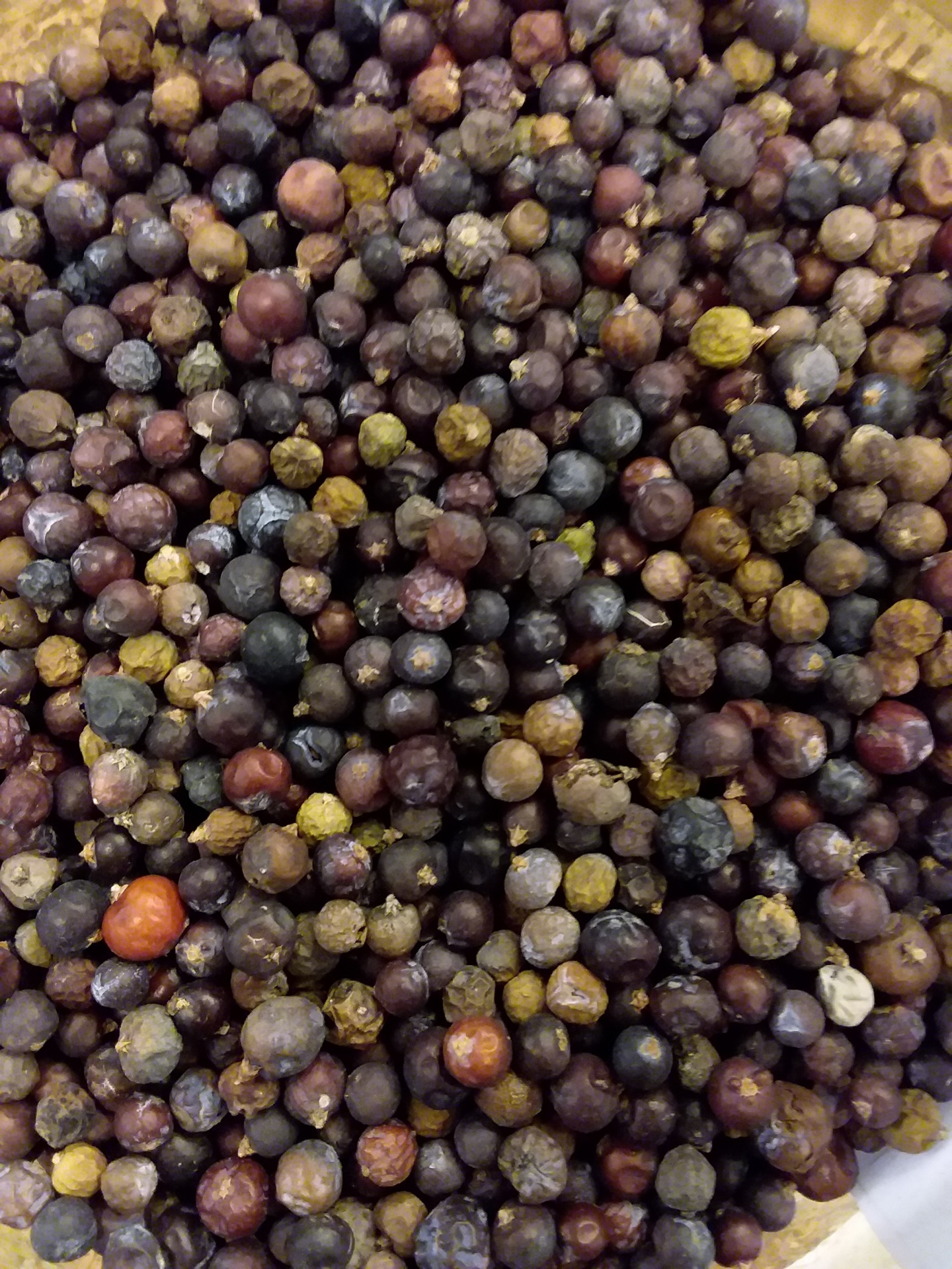 Bagas de zimbro secas em recipiente de madeira