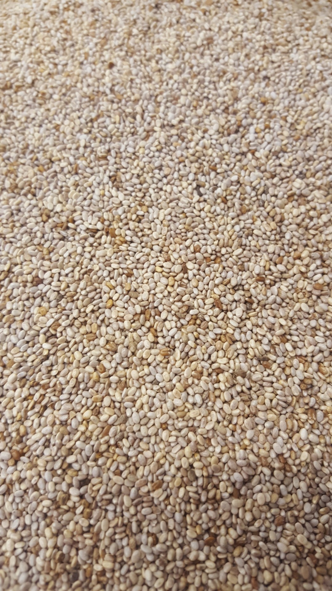 Sementes pequenas bege e castanho claro distribuídas uniformemente