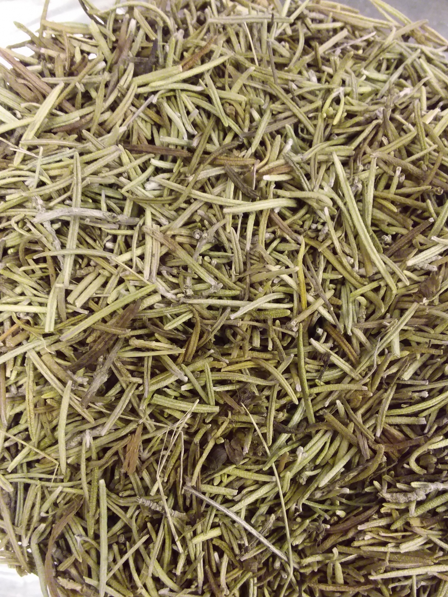 Ramos secos de alecrim com textura áspera e cores verde e castanho