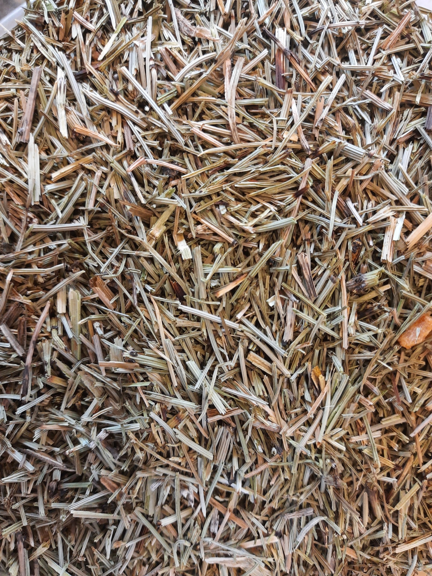 Fragmentos de madeira seca ou palha em tons castanhos e bege