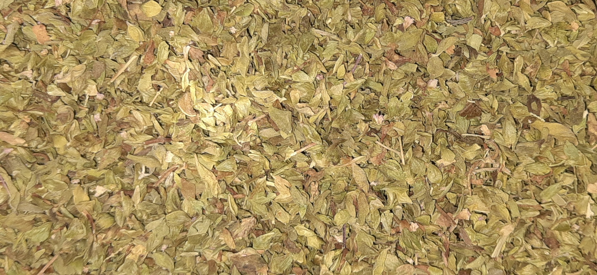 Folhas secas pequenas amarelas e verdes