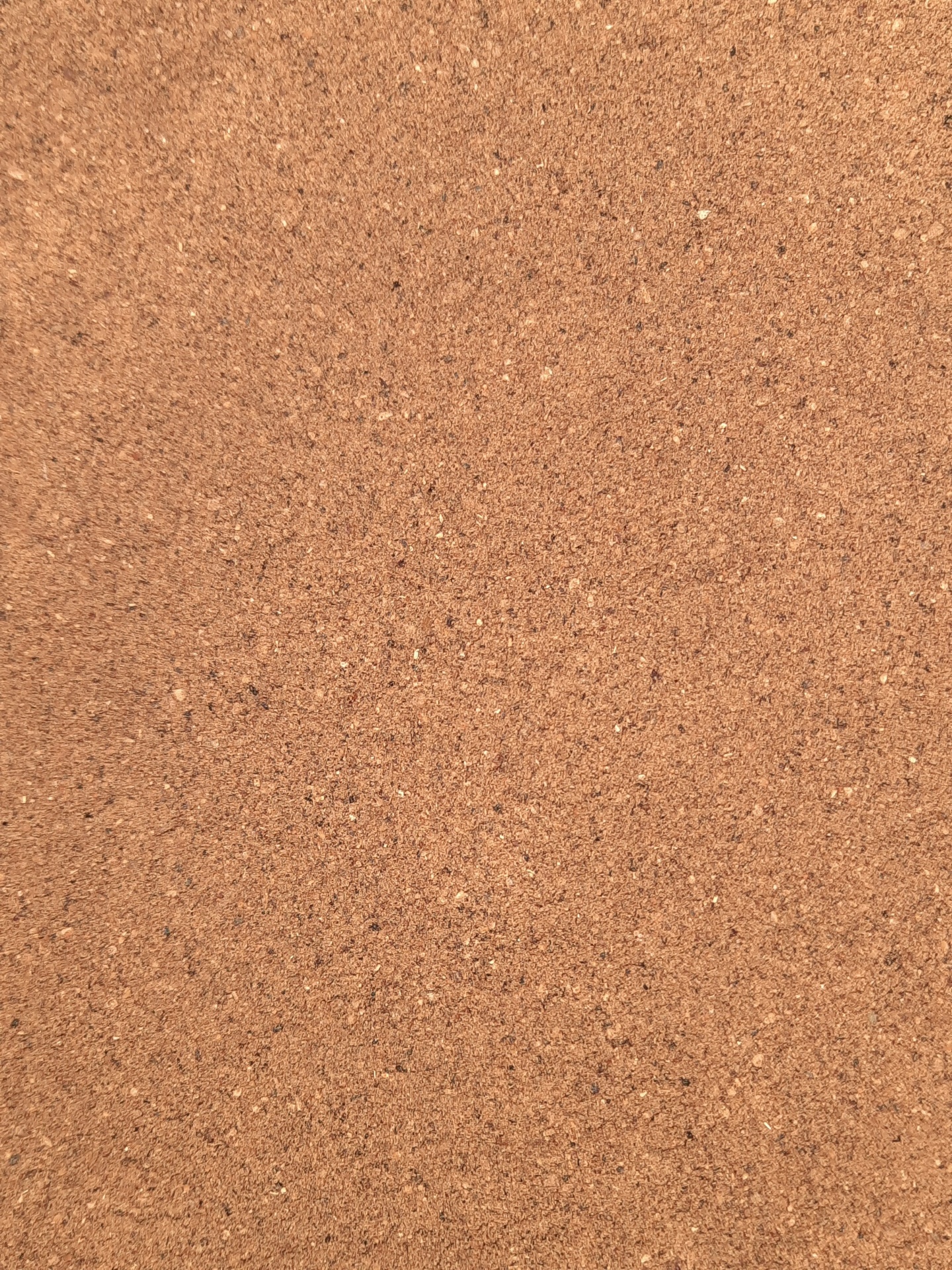 Superfície lisa de cortiça castanha clara.