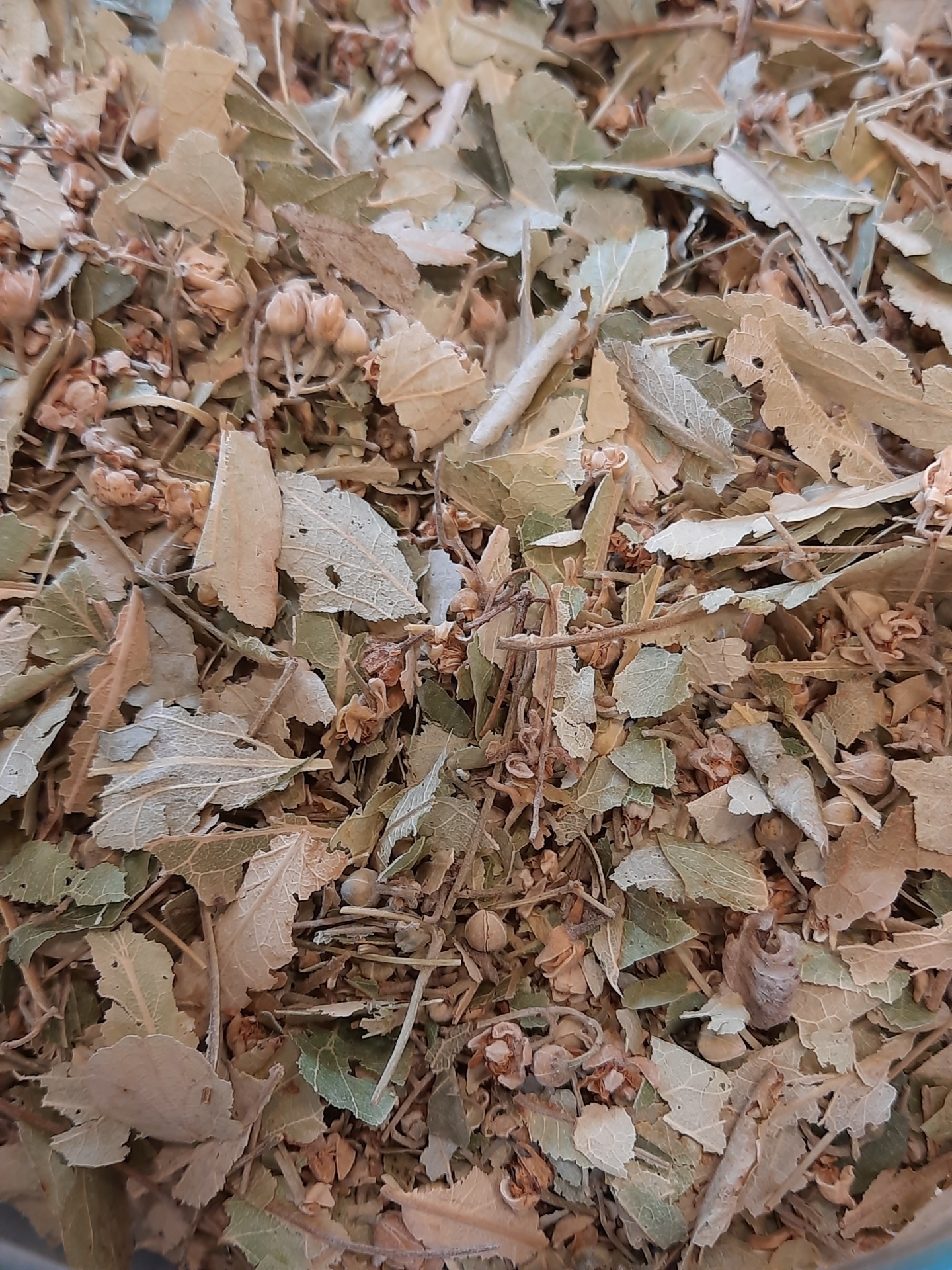 Mistura de folhas secas e flores pequenas em tons verdes e castanhos.
