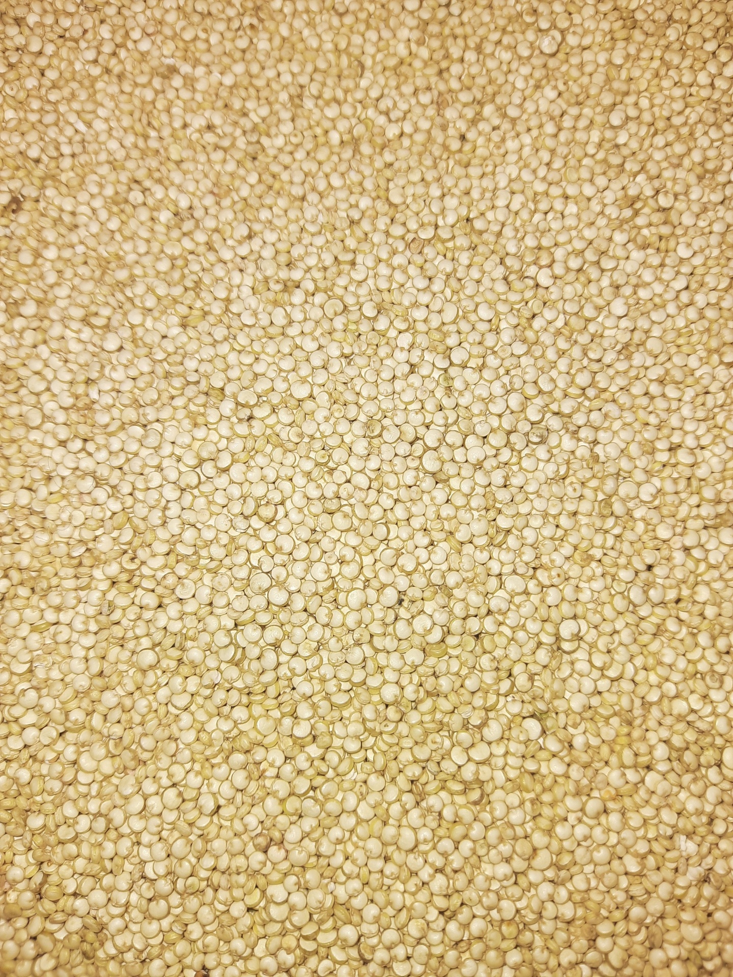 Grão de quinoa cru amarelado
