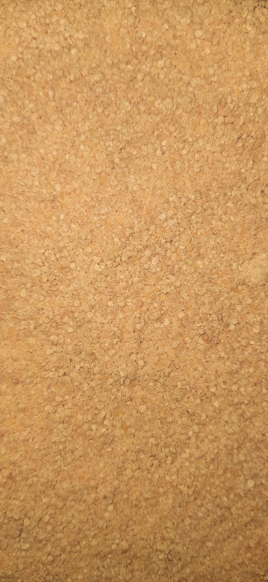 Superfície de cortiça castanho-claro rugosa