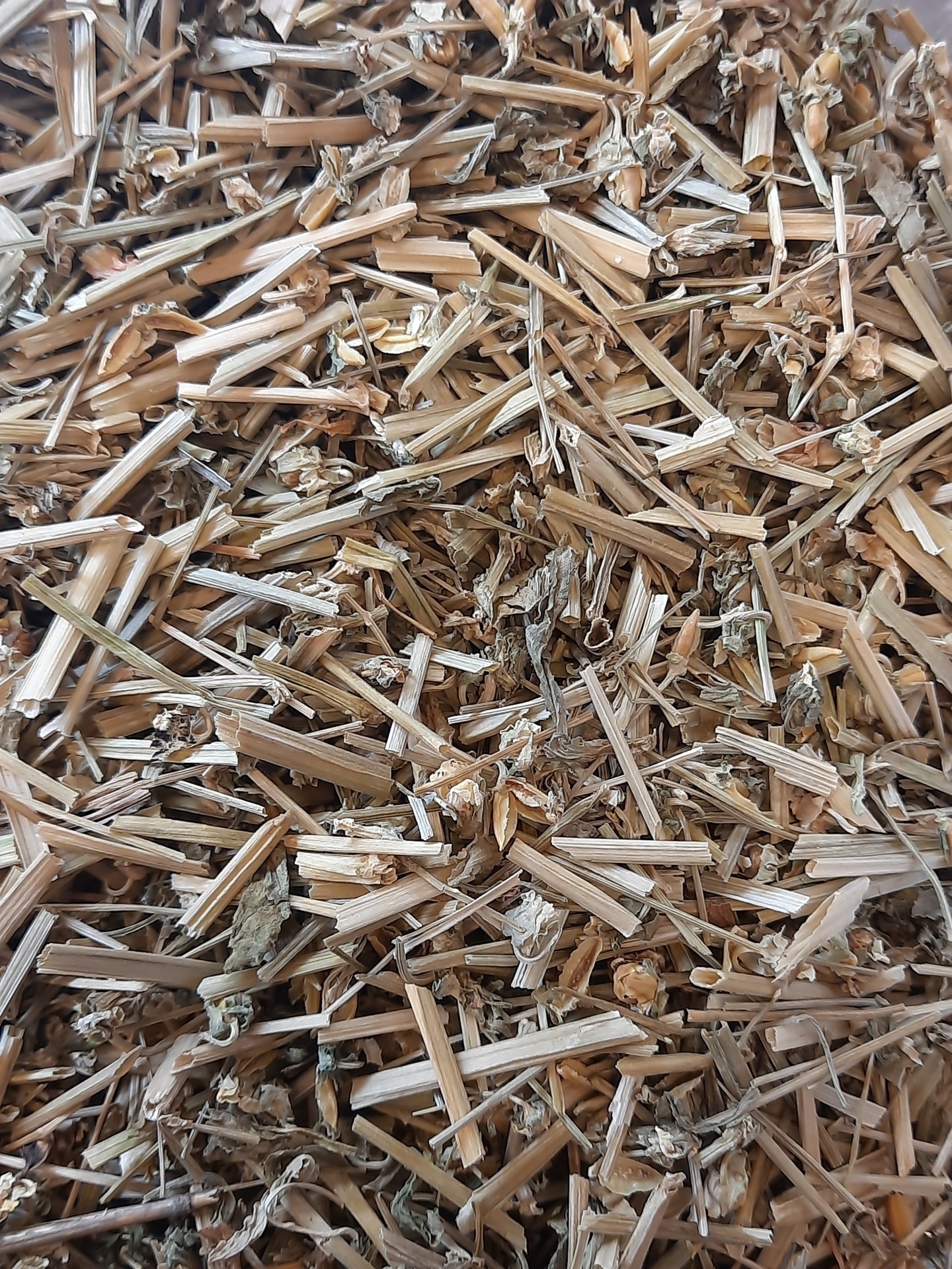 Paços finos secos castanhos claros com pedaços de folhas secas misturadas