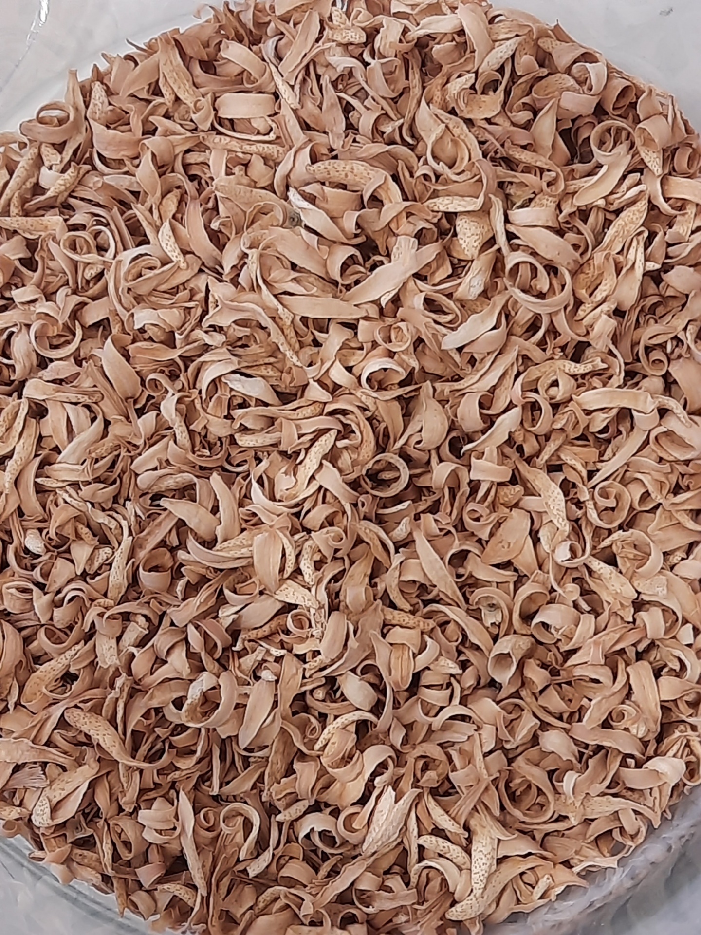 Recipiente com cascas de noz castanho claro em superfície branca