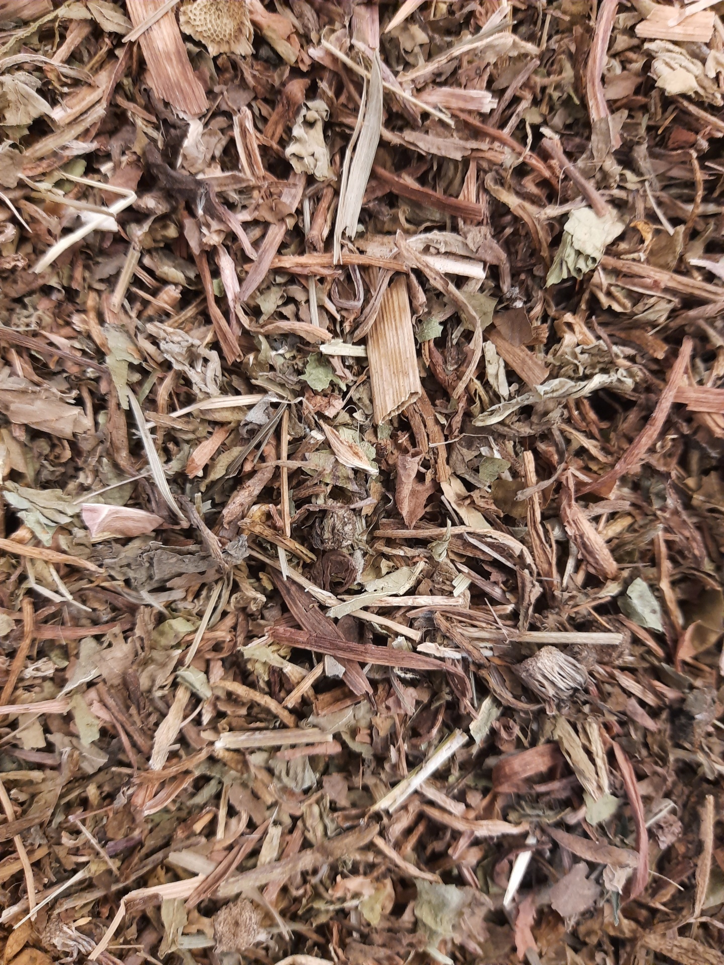 Mistura de ervas secas castanhas e verdes com texturas variadas.