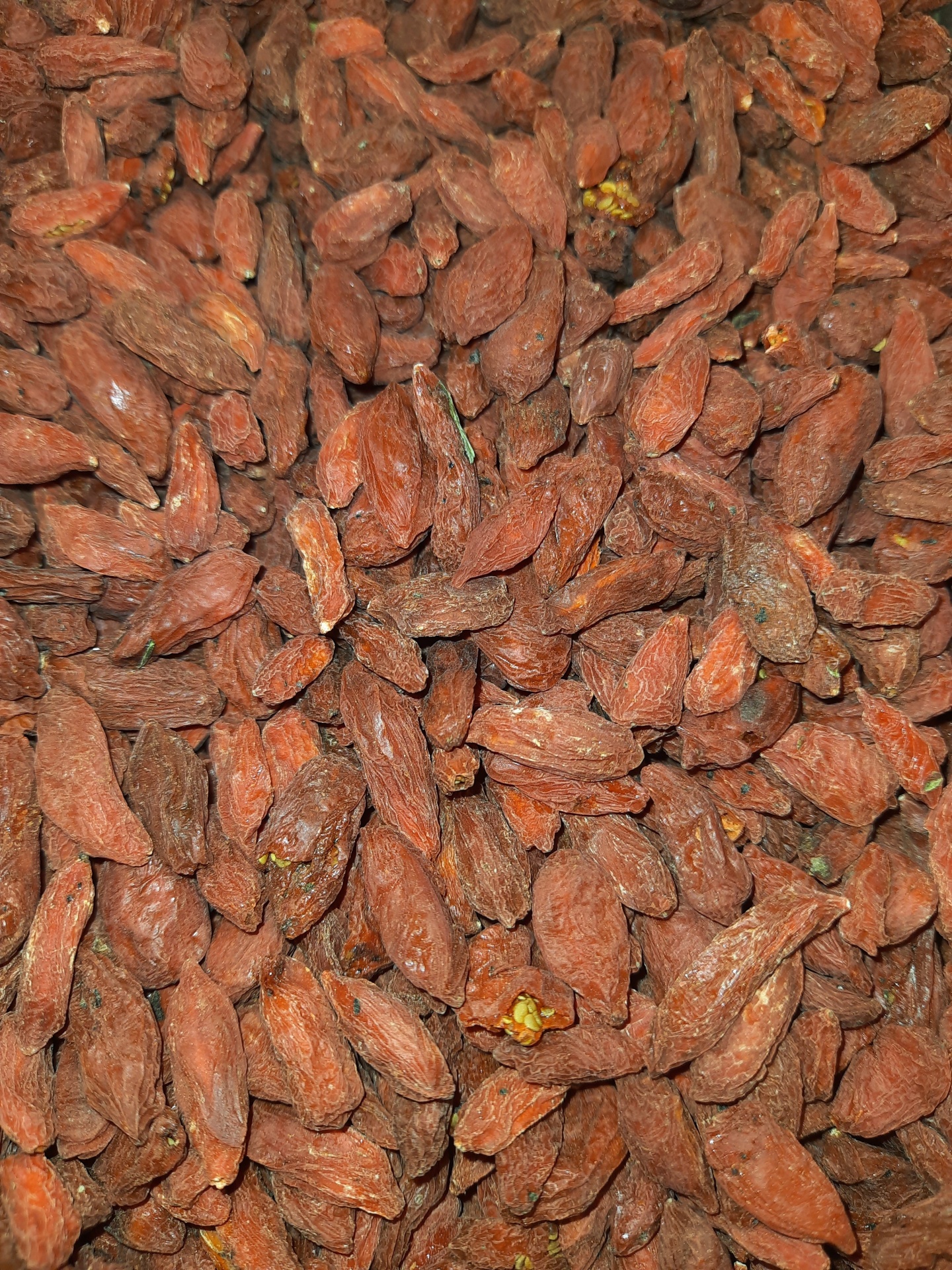 Bagas de goji secas em close-up