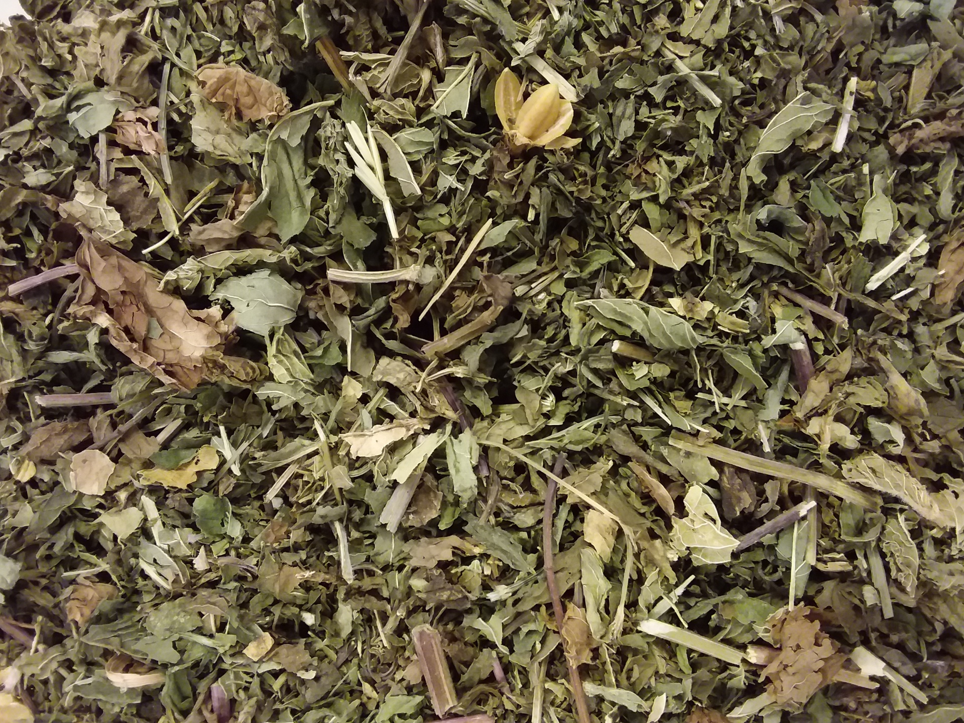 Folhas secas e trituradas verdes e castanhas