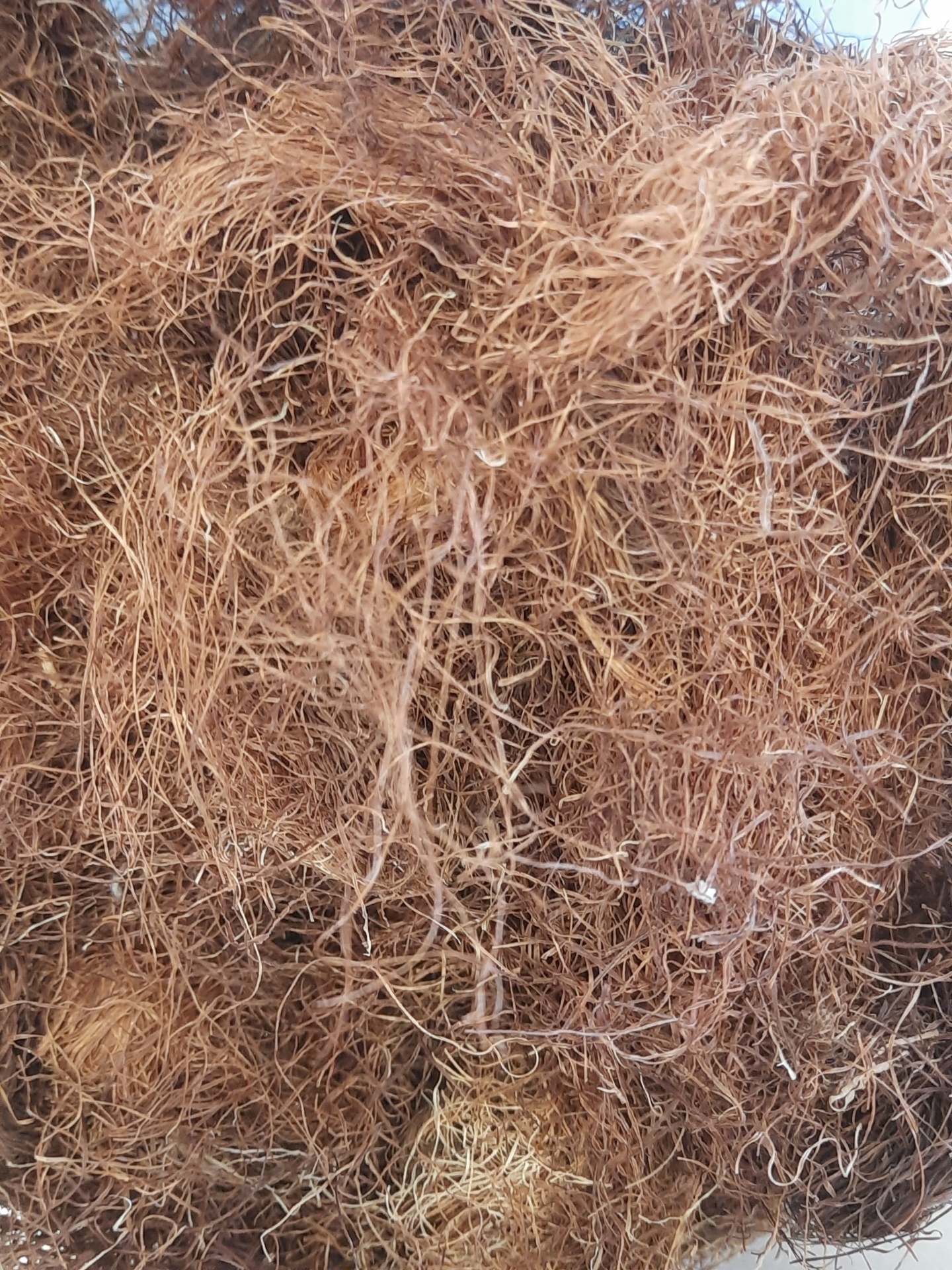 Fibras naturais castanhas claras entrelaçadas com textura fina e seca