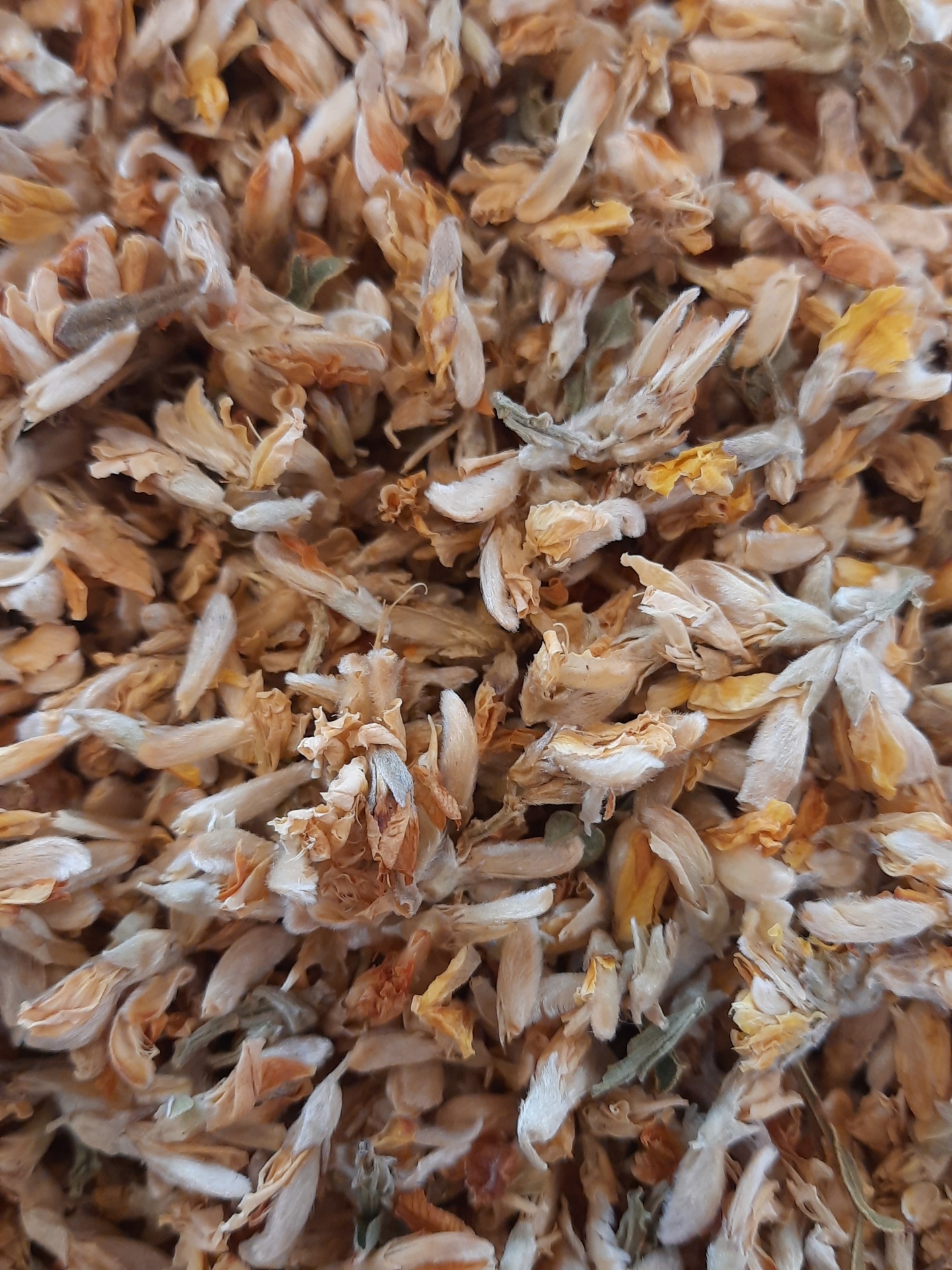 Flores secas em tons naturais com textura delicada