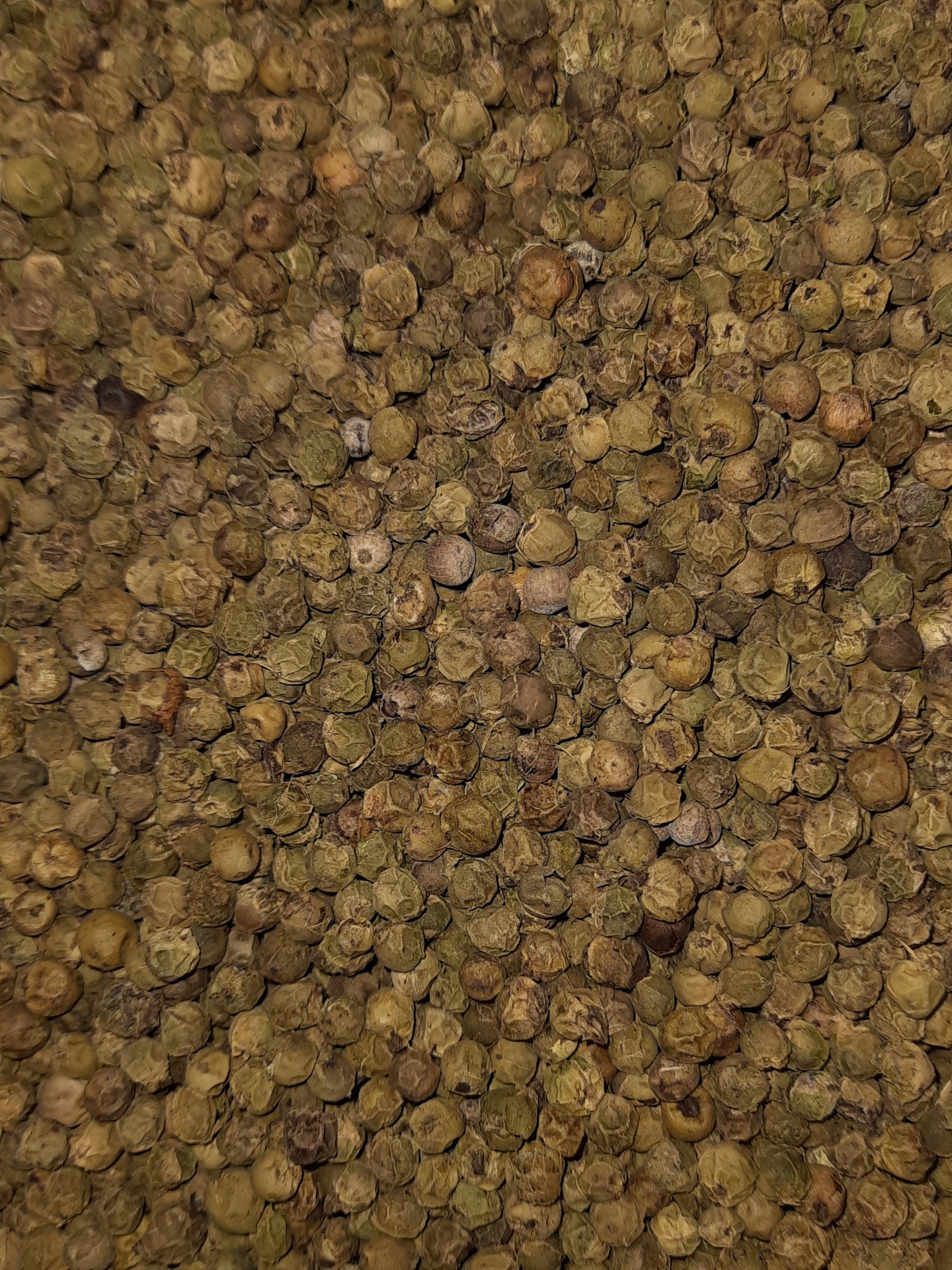 Bagas secas verdes amareladas em close-up, textura rugosa