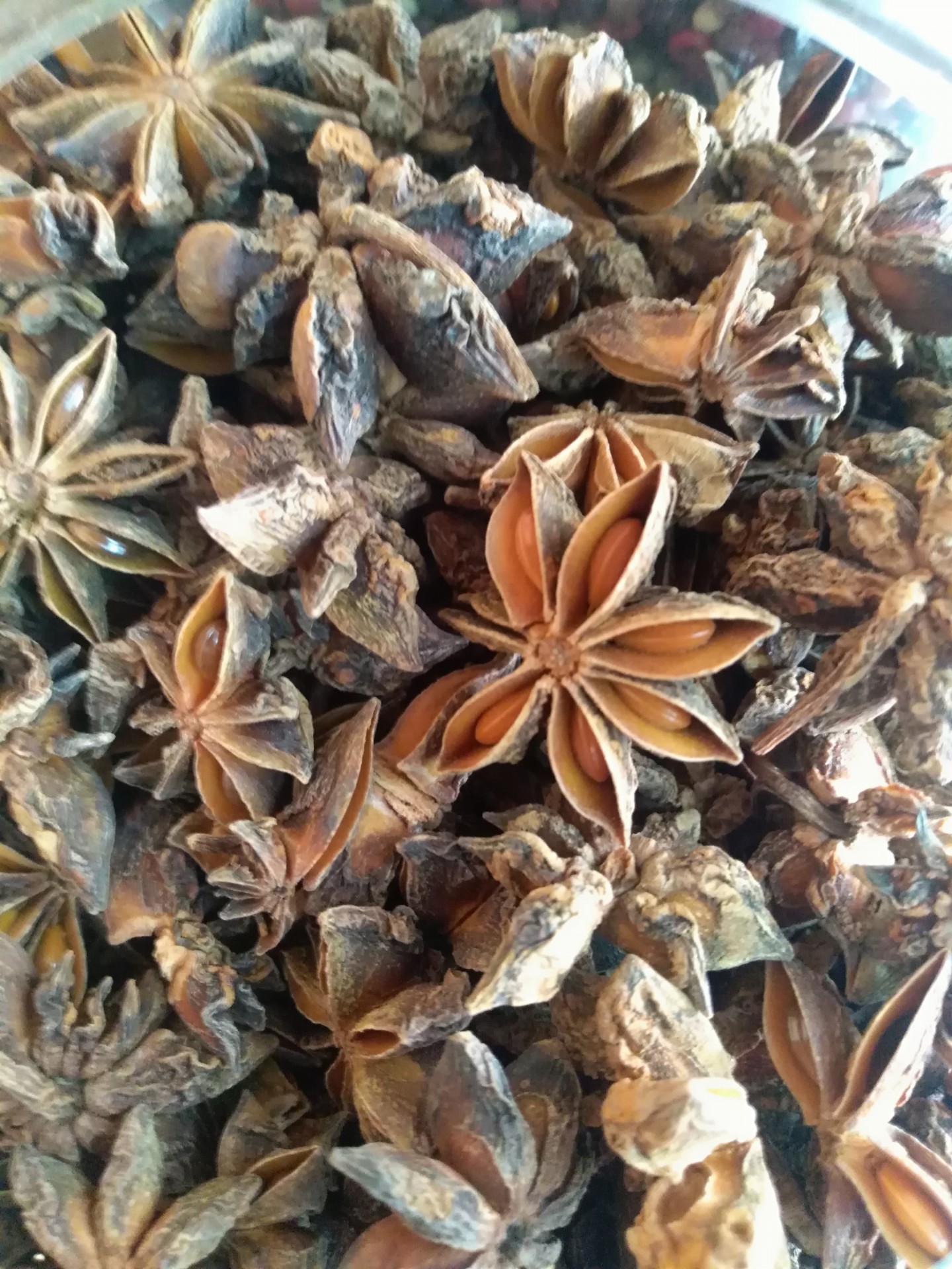 Várias vagens secas de anis-estrelado castanhas com textura rugosa