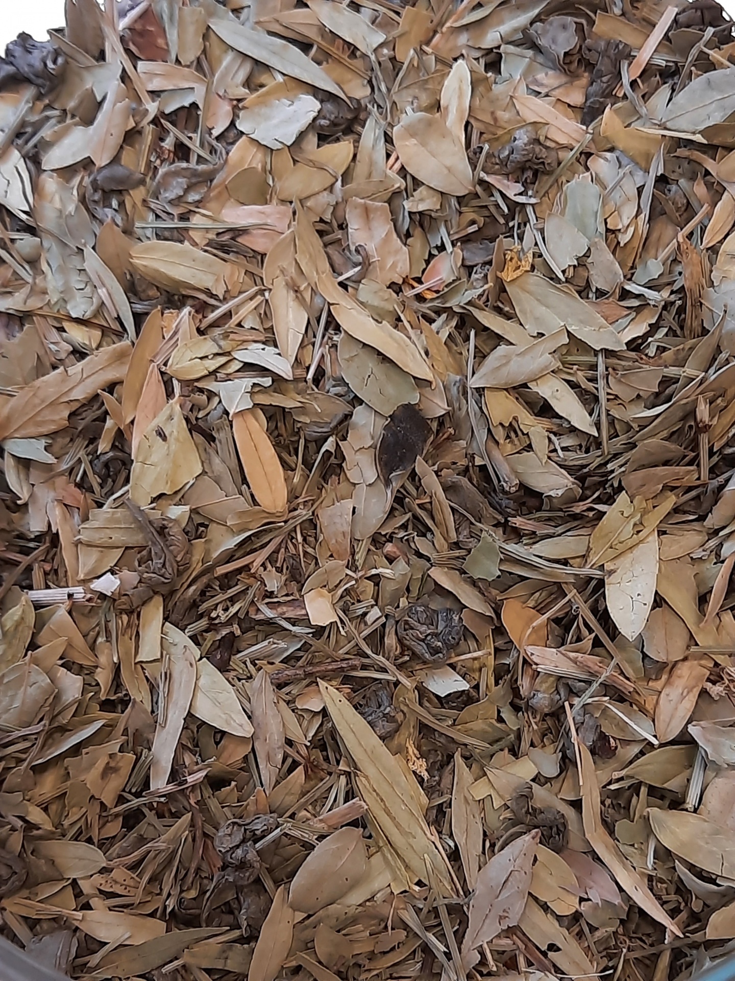 Folhas secas castanhas e bege com texturas crocantes