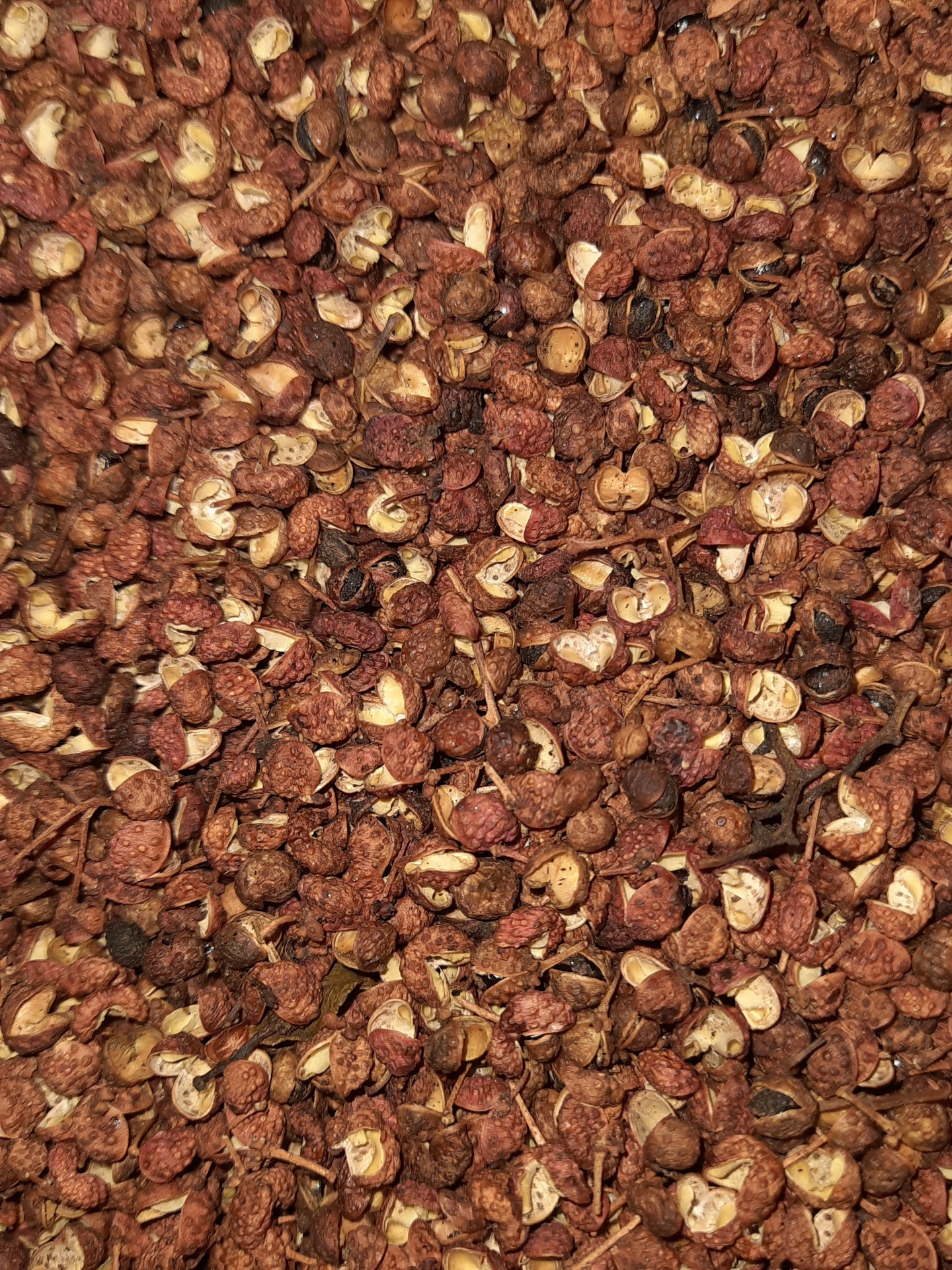 Bagas secas de pimenta Sichuan castanhas-avermelhadas com caules finos